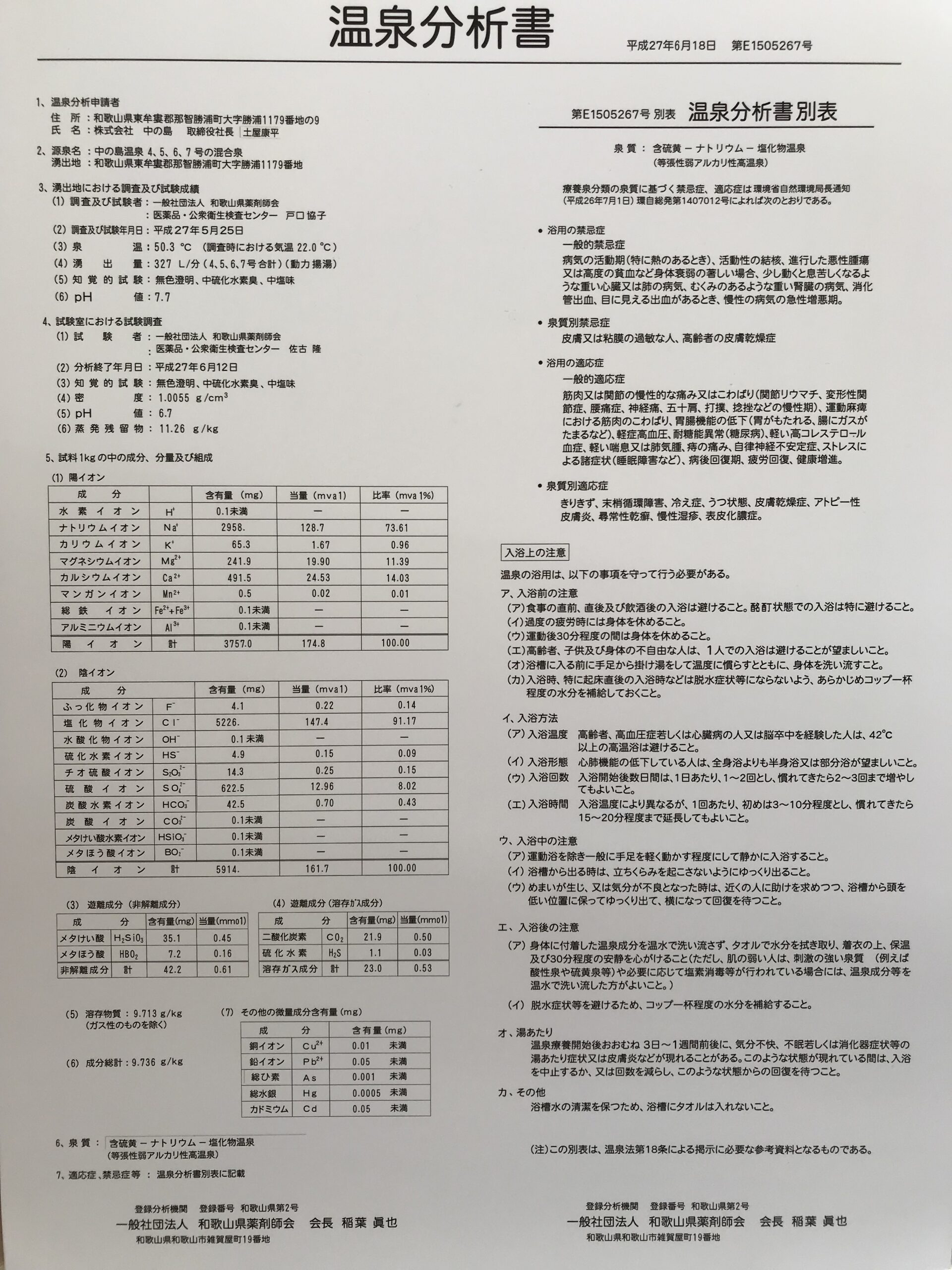 ホテル中の島　温泉分析書