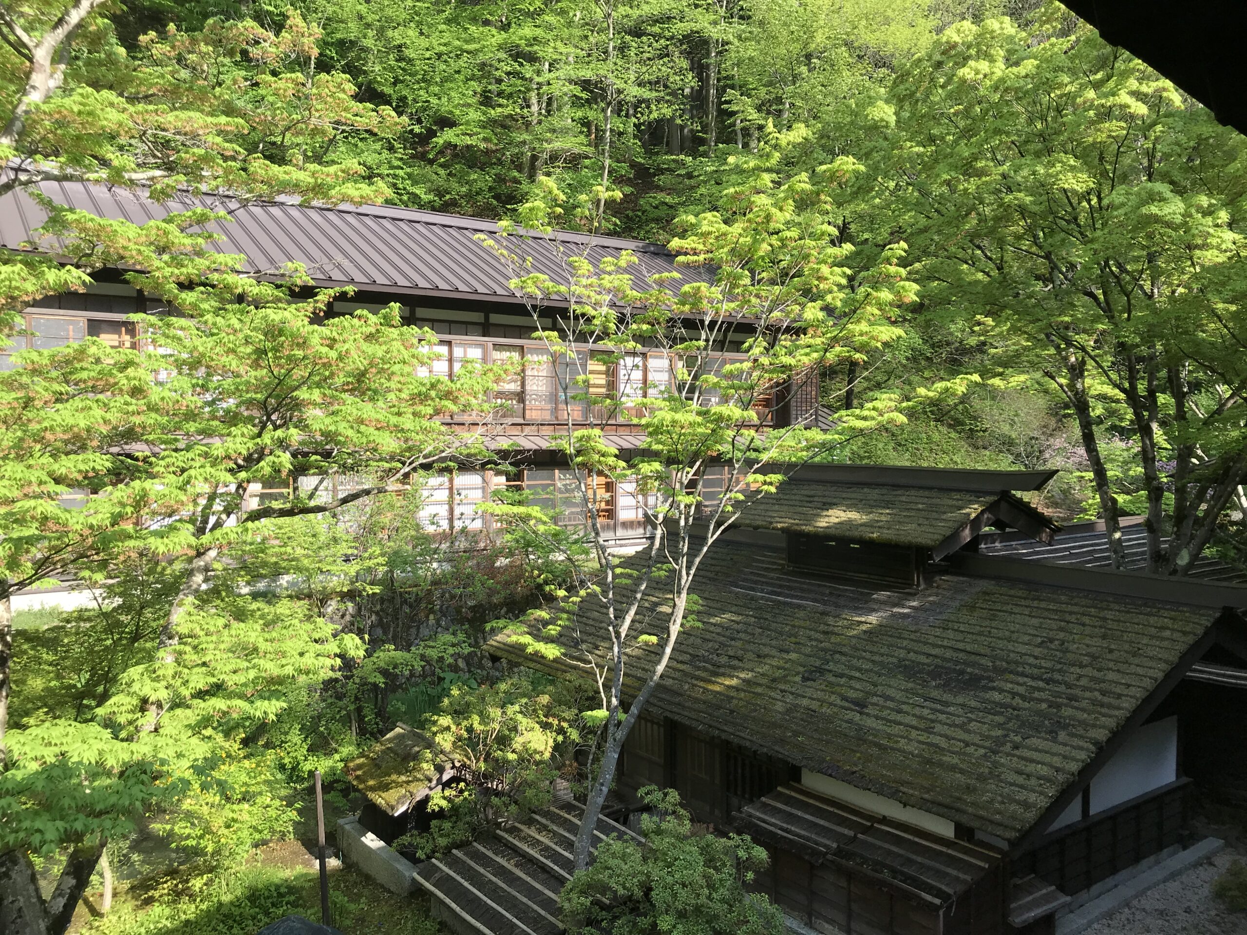 部屋からの眺めその2