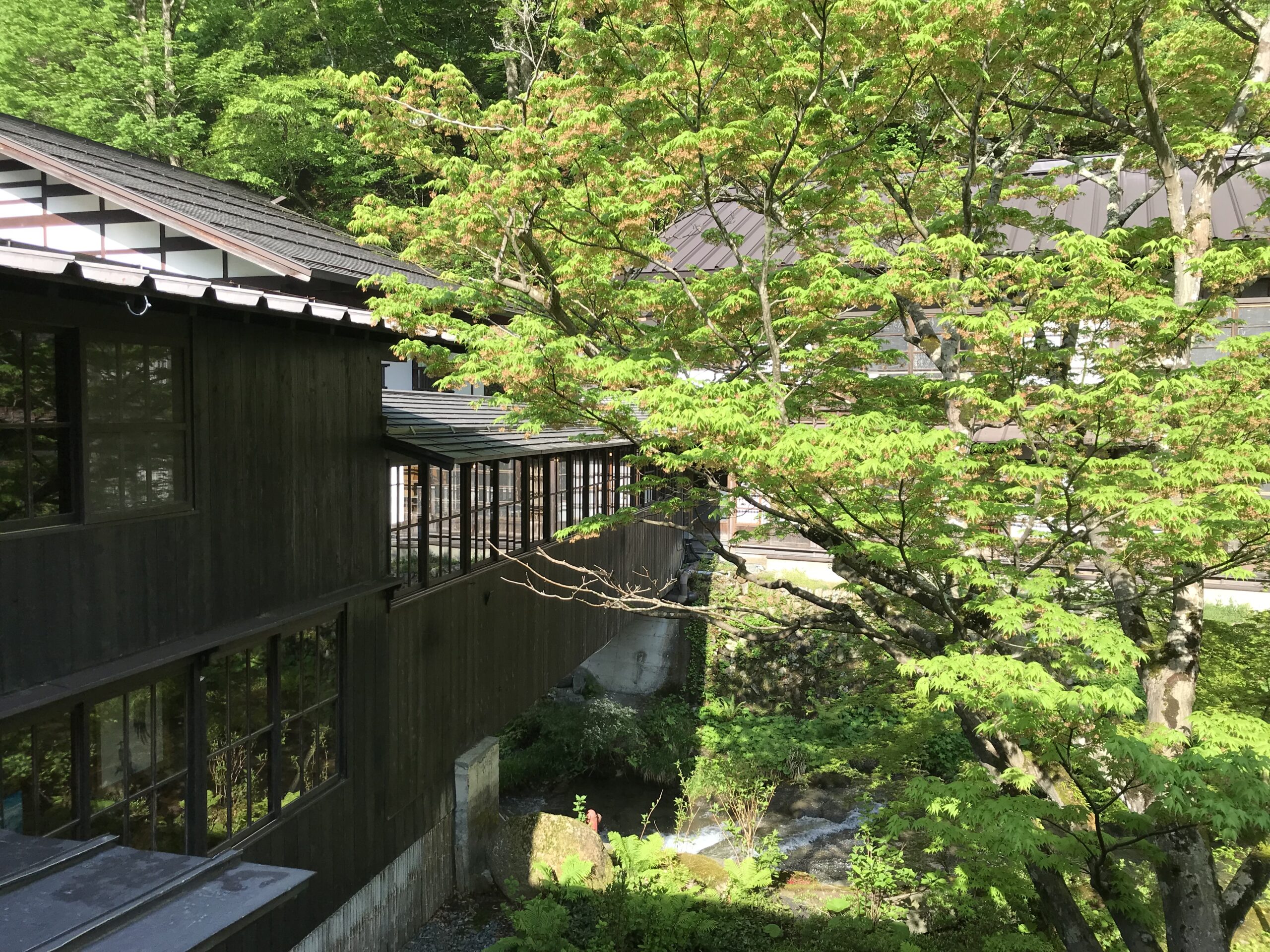 部屋からの眺めその1